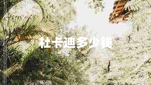 杜卡迪多少錢