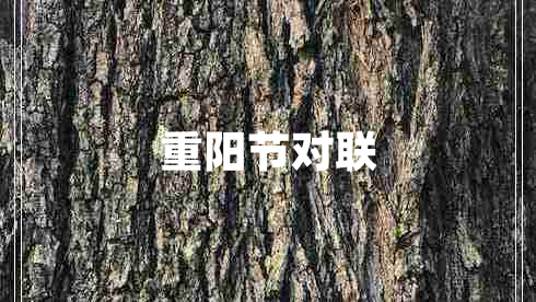 重陽節(jié)對聯(lián)