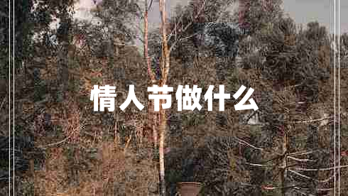 情人節(jié)做什么