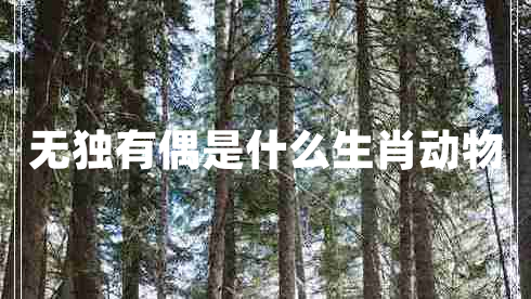 無獨有偶是什么生肖動物