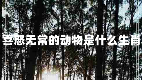 喜怒無常的動(dòng)物是什么生肖