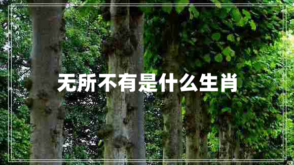 無所不有是什么生肖