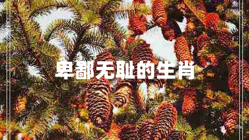 卑鄙無恥的生肖