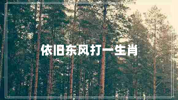 依舊東風打一生肖