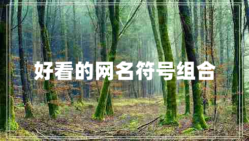 好看的網(wǎng)名符號(hào)組合