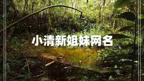 小清新姐妹網名