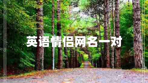 英語(yǔ)情侶網(wǎng)名一對(duì)