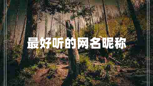 最好聽(tīng)的網(wǎng)名昵稱