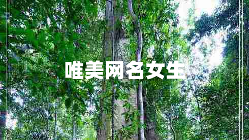 唯美網名女生