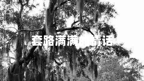 套路滿滿的情話