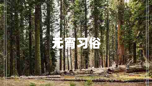 元宵習(xí)俗