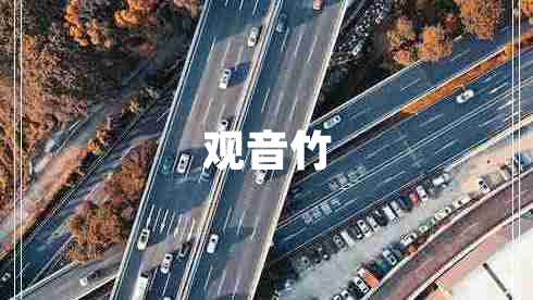 觀音竹