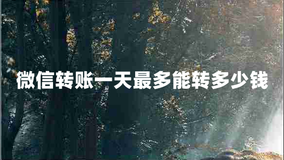 微信轉(zhuǎn)賬一天最多能轉(zhuǎn)多少錢