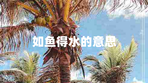 如魚得水的意思