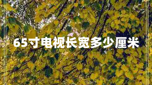 65寸電視長寬多少厘米
