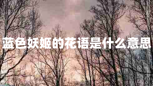 藍(lán)色妖姬的花語是什么意思