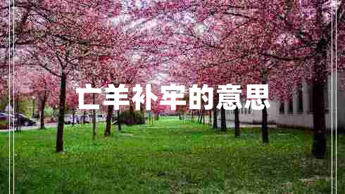 亡羊補(bǔ)牢的意思