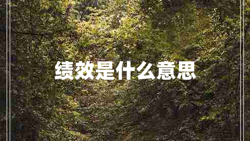 績(jī)效是什么意思