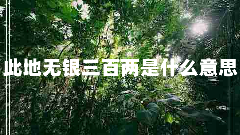 此地無銀三百兩是什么意思