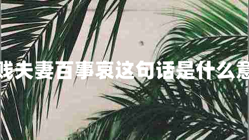 貧賤夫妻百事哀這句話是什么意思
