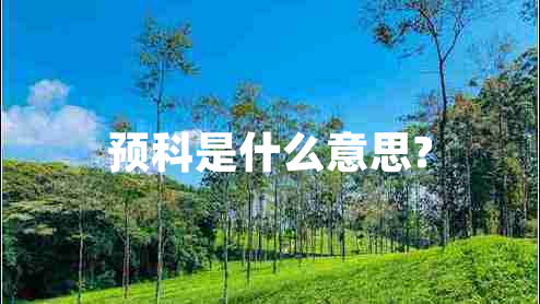 預(yù)科是什么意思?
