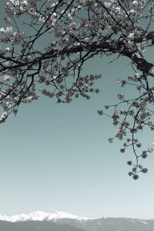風賦典故