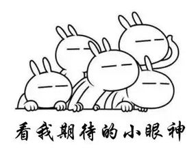 蘋果典故