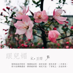 關于海棠的典故