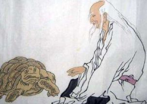 典故,龜雖壽