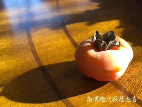 履霜堅(jiān)冰至典故