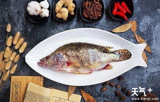 桂魚典故