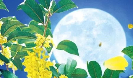 桂花的典故詩