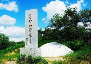 吊王將軍墓運(yùn)用典故