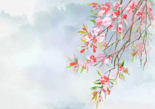 與海棠有關的典故,海棠泣血的典故,大魚海棠的典故