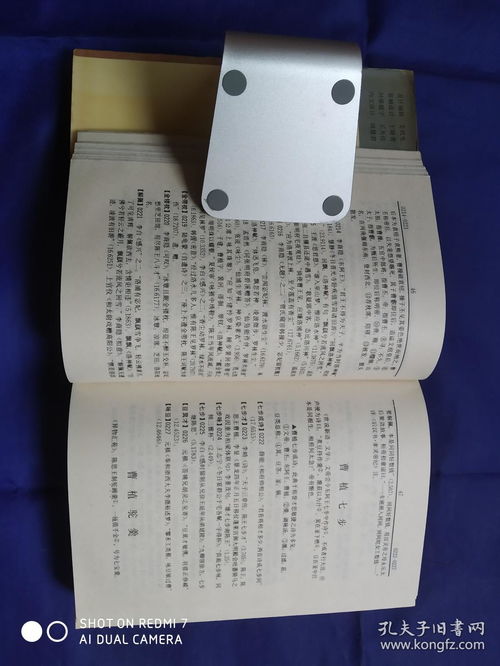 唐詩典故辭典