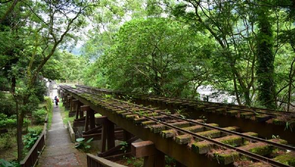 林田山林場