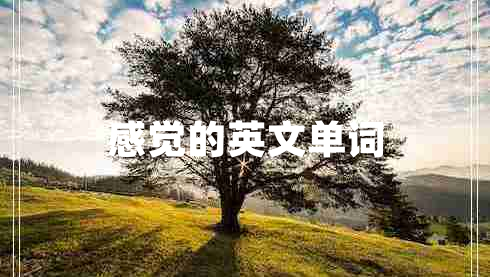 感覺的英文單詞
