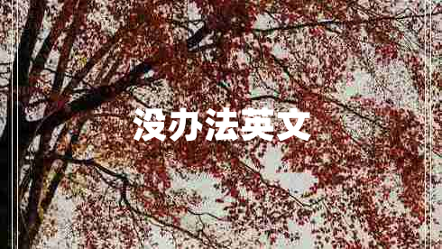 沒辦法英文