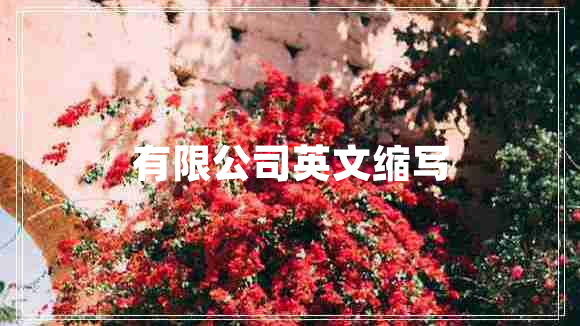 有限公司英文縮寫
