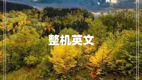 整機(jī)英文