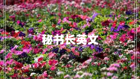 秘書(shū)長(zhǎng)英文