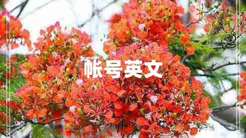 帳號(hào)英文