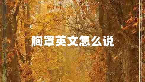 胸罩英文怎么說