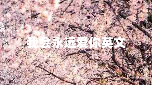 我會(huì)永遠(yuǎn)愛(ài)你英文