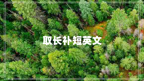 取長補短英文