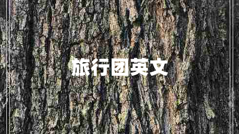 旅行團(tuán)英文