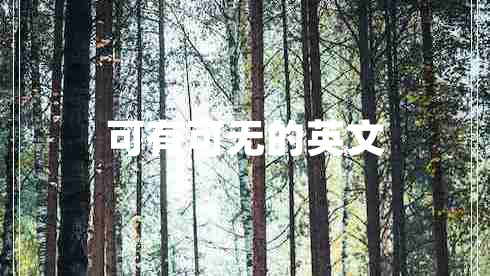 可有可無的英文