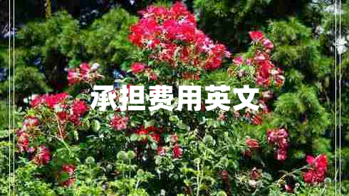 承擔(dān)費(fèi)用英文