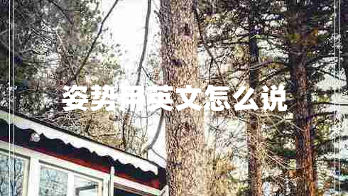 姿勢(shì)用英文怎么說(shuō)