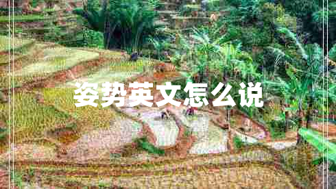 姿勢(shì)英文怎么說